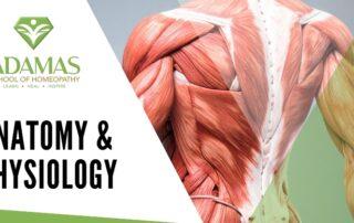 Adamas School of Homeopathy. Los Angeles School of Homeopathy. Seminar on Anatomy and Physiology. Natural Health Education.