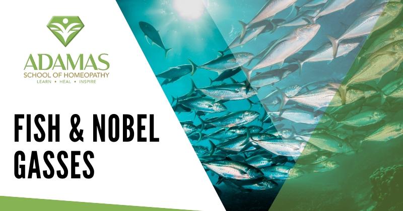 Adamas School of Homeopathy. Los Angeles School of Homeopathy. Seminar on Fish and Nobel Gasses