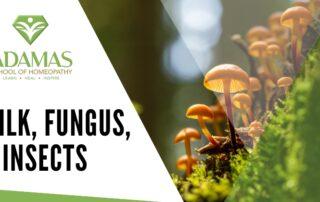 Adamas School of Homeopathy. Los Angeles School of Homeopathy. Seminar on Milk Fungus Insects