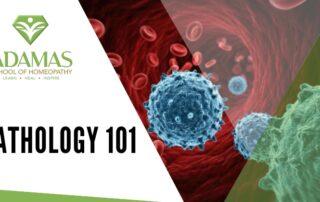 Adamas School of Homeopathy. Los Angeles School of Homeopathy. Seminar on Pathology 101.