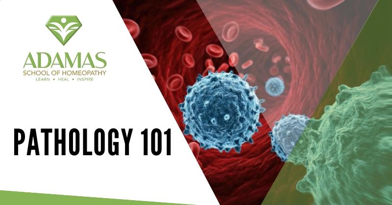 Adamas School of Homeopathy. Los Angeles School of Homeopathy. Seminar on Pathology 101.