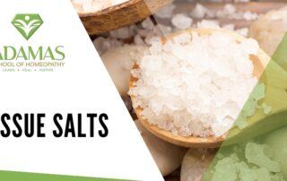 Adamas School of Homeopathy. Los Angeles School of Homeopathy. Seminar on Tissue Salts