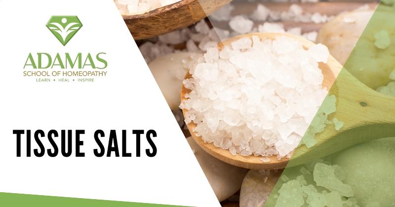 Adamas School of Homeopathy. Los Angeles School of Homeopathy. Seminar on Tissue Salts