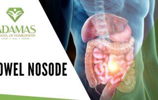 Adamas School of Homeopathy. Los Angeles School of Homeopathy. Seminar on Bowel Nisode