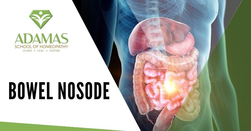 Adamas School of Homeopathy. Los Angeles School of Homeopathy. Seminar on Bowel Nisode